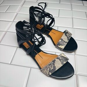 Dolce Vita Black and Snakeskin Strappy Sandals Gladiator Shoes, Size 6